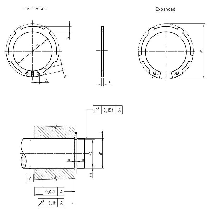 DIN 983 - External Retaining Rings with Lugs