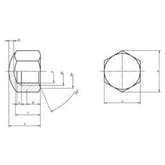 DIN 917 - Hexagon Cup Nuts - Low Pattern